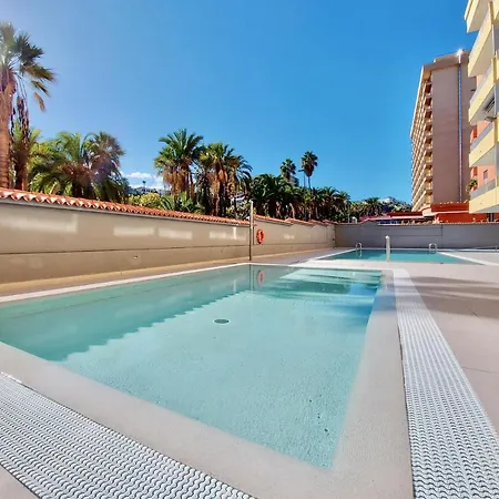 Palm View