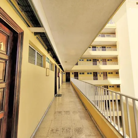 Palm View Appartement